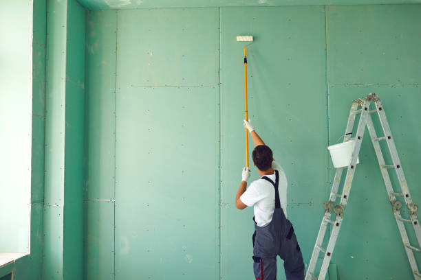 Best Eco-Friendly and Low-VOC Painting  in Orinda, CA